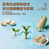 珍珠甜糯玉米 0糖认证 糖友/孕妈/减脂期都能吃 非转基因 配料表只有玉米 自然生长120天 3小时真空锁鲜 商品缩略图2