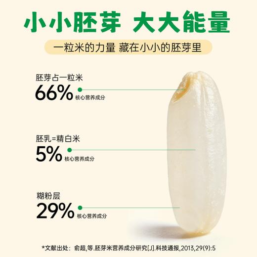 【2025年秋收】谦益香畴有机胚芽米500g 自然农耕东北原产生态稻花香 营养粥米 软糯回甘 米油浓厚 商品图1