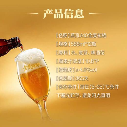 【燕京】A10全麦啤酒 商品图2