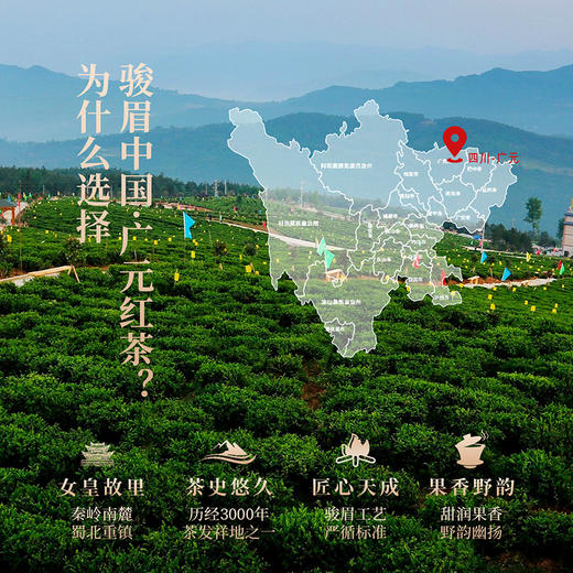正山堂广元红 骏眉中国产区茶系列 特级红茶正宗四川自己喝茶叶罐装 商品图4