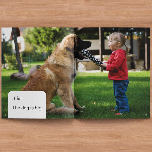 新标准自然拼读分级绘本 商品图4