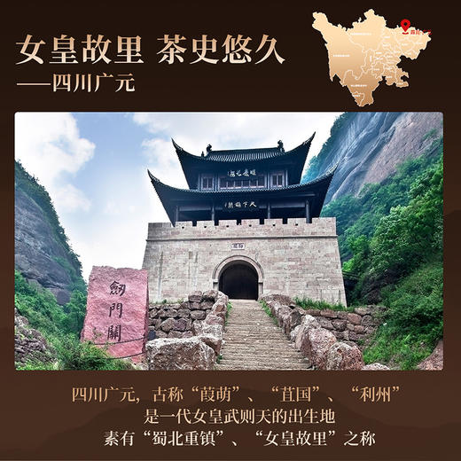 正山堂广元红 骏眉中国产区茶系列 特级红茶正宗四川自己喝茶叶罐装 商品图5