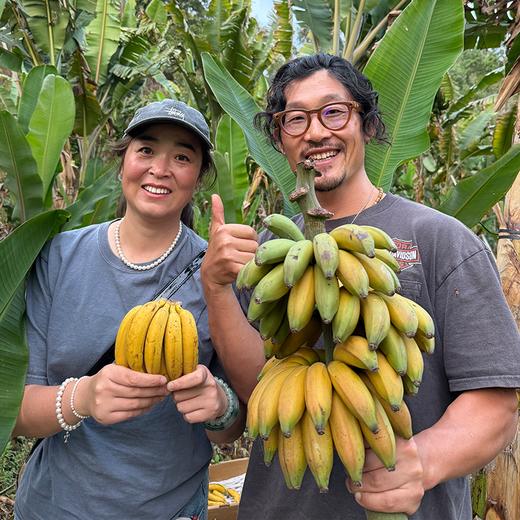 【排单发货】极客生态小香蕉丨农科院新品种，细腻无渣，焦香浓郁，放到出黑斑会更好吃。⭐圆通快递 商品图4