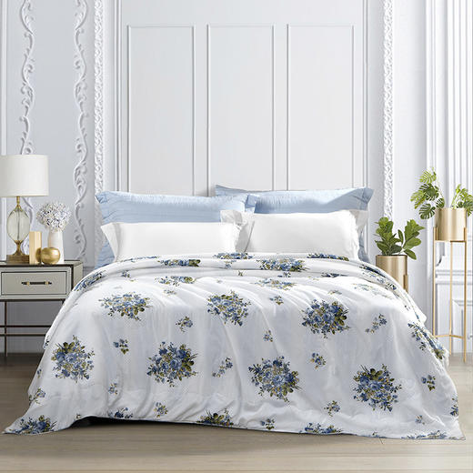 富安娜 慕光之城抗菌桑蚕丝被200*230cm(300g) 商品图1