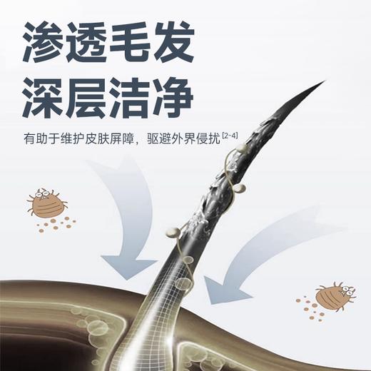 【Ramical雷米高】沐浴露猫咪狗狗专用除臭持久留香止痒香波宠物洗澡用品 商品图2