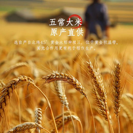 五常稻香米 商品图2