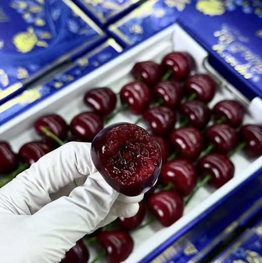 预售11号左右到仓：石家庄优选仓库速达（本周到货）大连美早樱桃4J 脆甜爆汁 果肉厚实 净重2斤礼盒装 商品图5