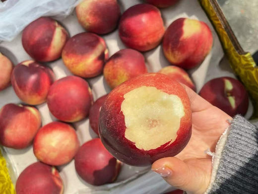 超大果南非油桃到货！超甜新鲜货，果肉橙黄，细腻无渣！吃口脆、口感好、颜色鲜艳欢迎品尝 商品图2