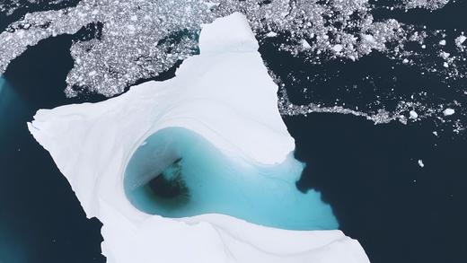 南极三岛「早鸟价8折，优惠高达4万元」福克兰群岛、南极半岛、南乔治亚岛26天摄影之旅 商品图6