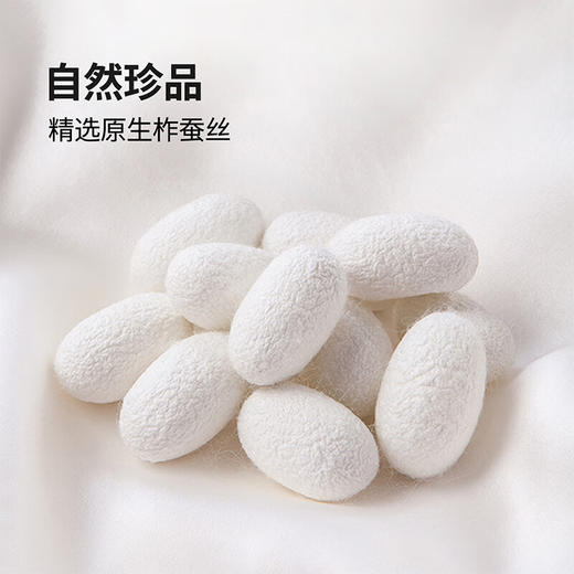 富安娜 柔润纯棉抗菌蚕丝被203*229cm(800g) 商品图3