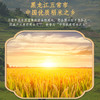 五常稻香米 商品缩略图3