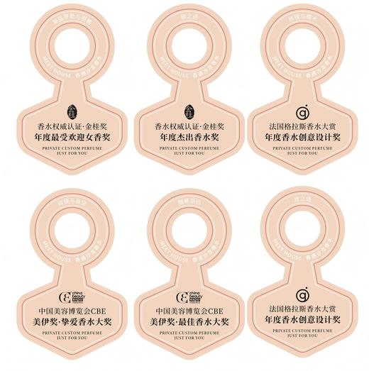 奖项脖套-玫瑰与檀木 商品图0