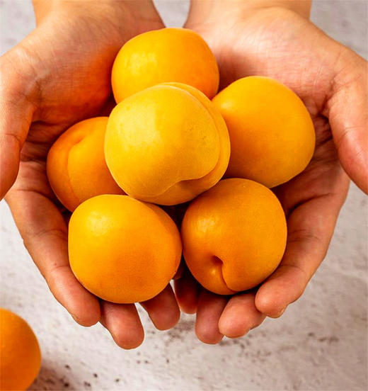 陕西大黄杏#酸酸甜甜，果香浓郁，饱满多汁， 解腻开胃，现摘现发放软更好吃~ 商品图3