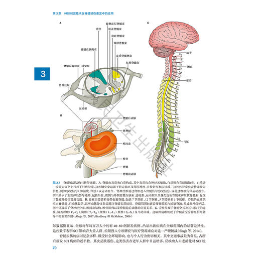脑机接口临床应用 赵继宗 高小榕 主译 系统梳理了从神经信号采集、预处理、特征提取到临床应用的完整技术路径 人民卫生出版社 商品图4