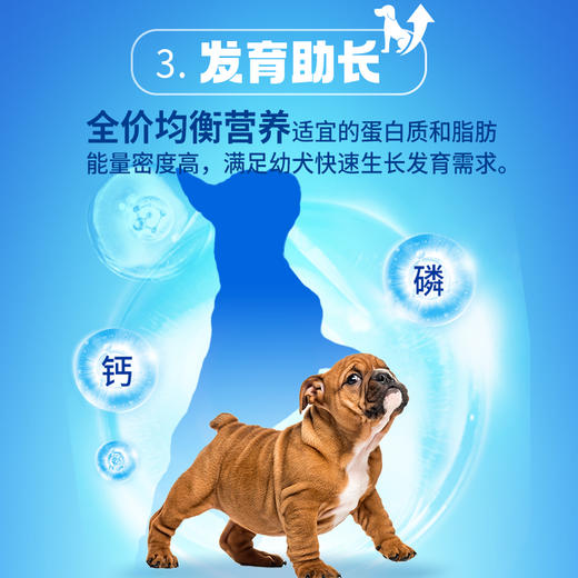 【雷米高】活力泰鲜肉系列功能日粮幼犬粮开口全价狗粮犬粮1.6kg 商品图4