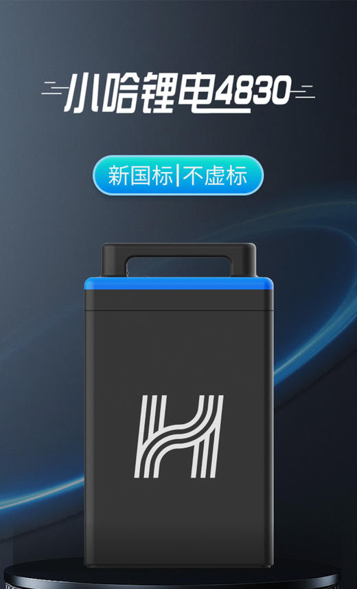【美点特惠】48V30AH 小哈锂电 品字充电头 全新直购 不含安装 商品图0