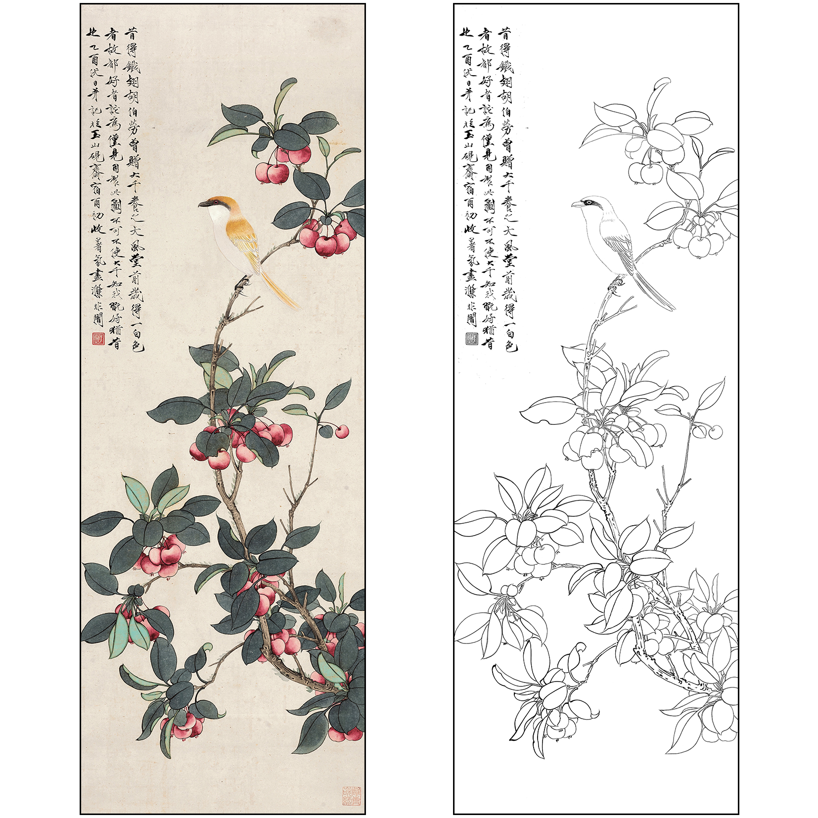 工笔画白描底稿于非闇花鸟《海棠鹂莺》临摹勾线高清打印稿FA73