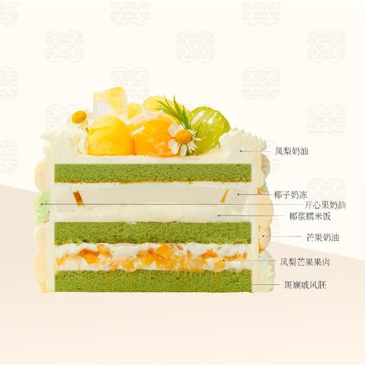 ⚜️棱光星芒 商品图1