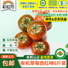 彩虹雨有机蔬菜现摘新鲜草莓西红柿番茄4斤/6斤装欧盟认证全国包邮 商品缩略图8