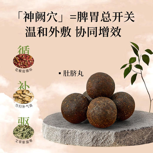 新品【燃燃炫腹草本贴】【5贴】【瘦身贴  减肥贴】 商品图3