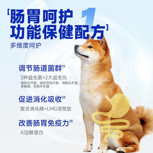 【雷米高】活力泰鲜肉系列功能日粮肠胃鲜肉全期全价犬粮1.6kg 活力泰肠胃鲜肉全价犬粮1.6kg 商品图2