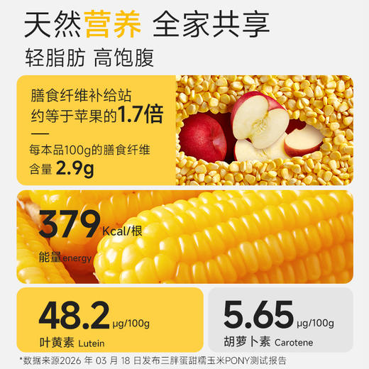 三胖蛋 黄/白 甜糯玉米228g（组合/礼盒） 商品图4