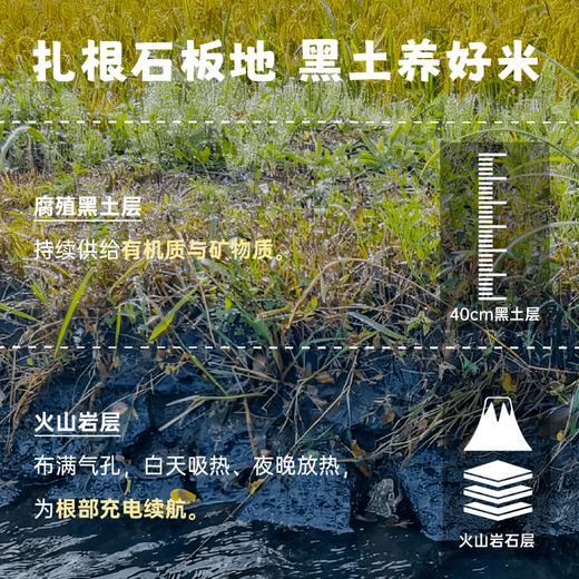 【2025年秋收】谦益香畴有机胚芽米500g 自然农耕东北原产生态稻花香 营养粥米 软糯回甘 米油浓厚 商品图2
