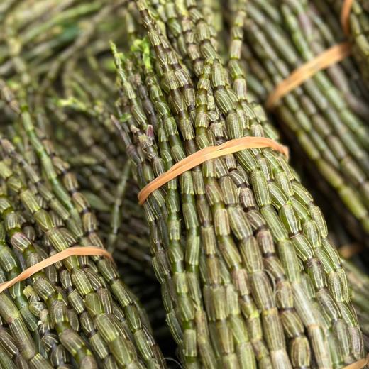 铁皮石斛鲜条【云南深山仿野生种植】 商品图2