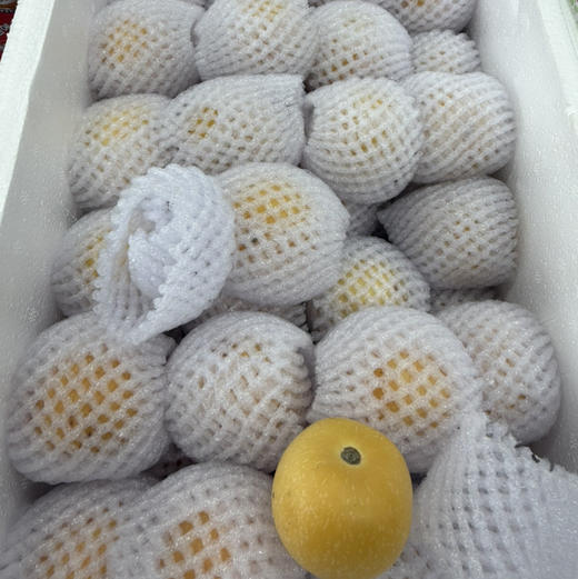 高糖 纯树熟人参果 脆甜嫩 来自高海拔16.8/2斤 商品图3