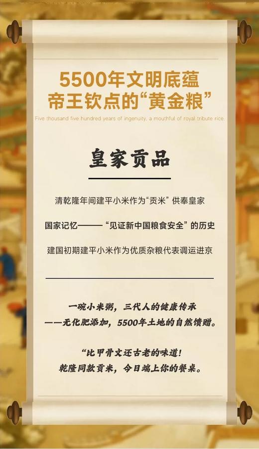 【积分兑换】千麦道当季东北黄金苗K1小米 北纬41°黄金小米 品质保证400g 商品图4