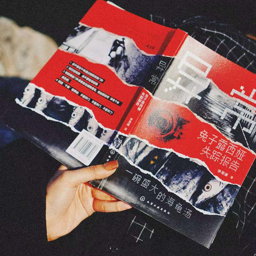 异常：兔子露西娅失踪报告 商品图3