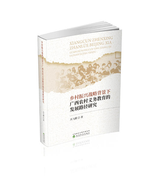 乡村振兴战略背景下广西农村义务教育的发展路径研究 商品图0