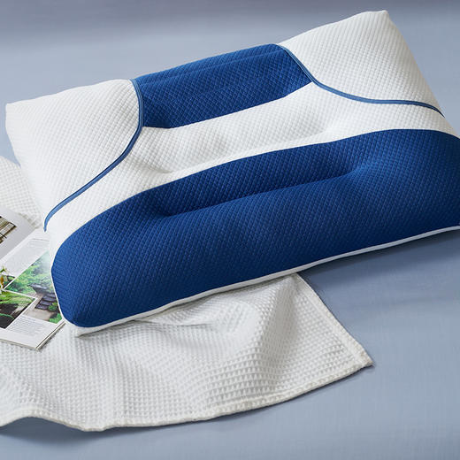 富安娜 决明子牵引对枕 商品图3