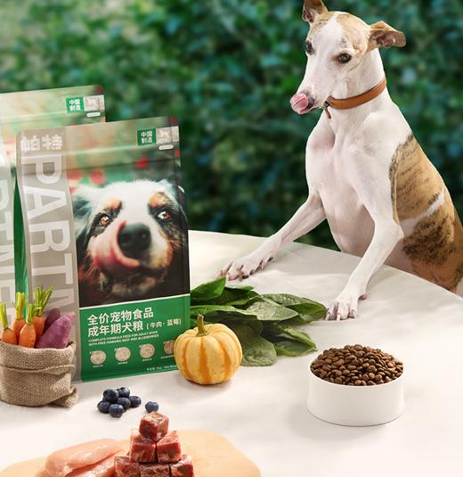 帕特 全价成年期犬粮(牛肉·蓝莓)2kg 商品图0