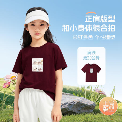 男女童圆领短袖针织衫夏季新款安奈儿童装EM621815 商品图2