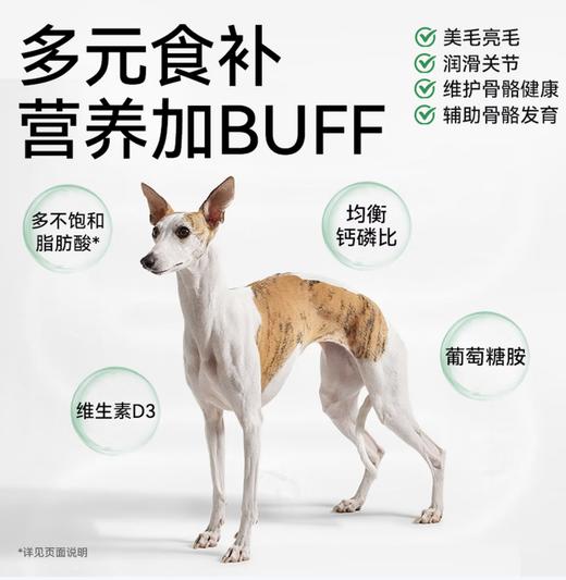 帕特 全价成年期犬粮(牛肉·蓝莓)2kg 商品图2
