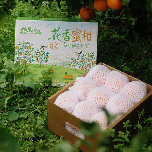 云南无核花香蜜柑  新鲜采摘 商品图7