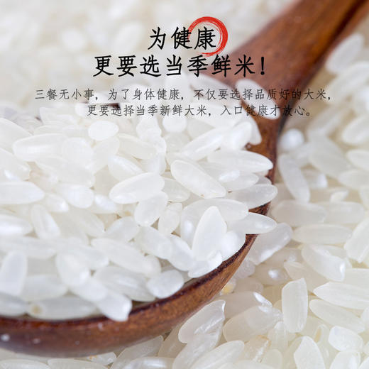 五常稻香米 商品图1