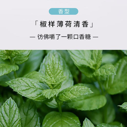 舒客 小苏打口腔护理组合 ZHS-SD30 商品图4