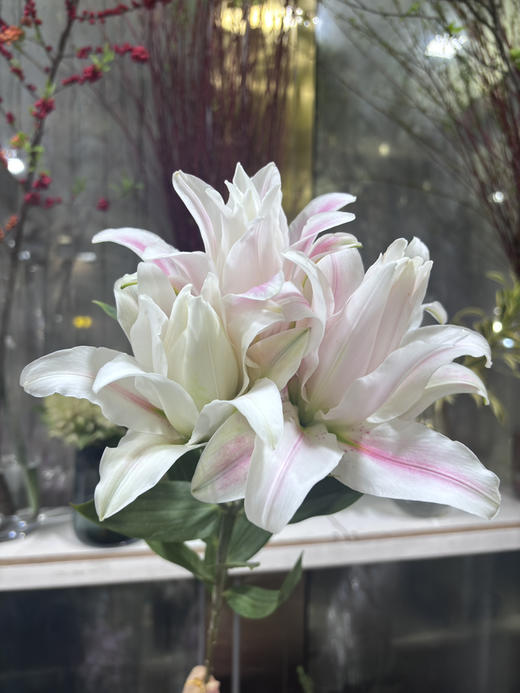 【精品百合】重瓣百合-好奇心  粉色  5枝/扎  3 头 商品图5