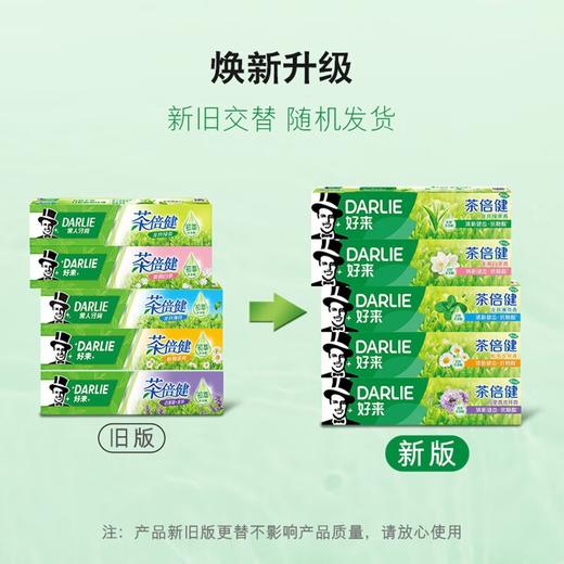 好来 牙膏套装90g*6支(薄荷+龙井+超白) DR-90-06TS 商品图2
