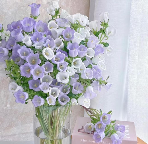 预售15号到货 浅紫色紫风铃 一扎300g 商品图1