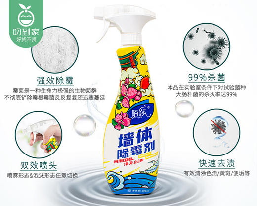陌莎墙体除霉剂*2瓶（500ml/瓶） 商品图1