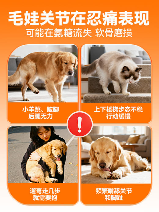 普安特宠物氨糖软骨素猫狗专用改善关节鲨鱼软骨素舒节利医护 商品图5