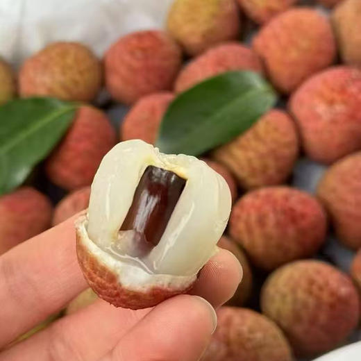 尊蓝老树桂花香荔枝3斤装，每一颗树上成熟，吃的到的新鲜，满口的温柔细腻 商品图1