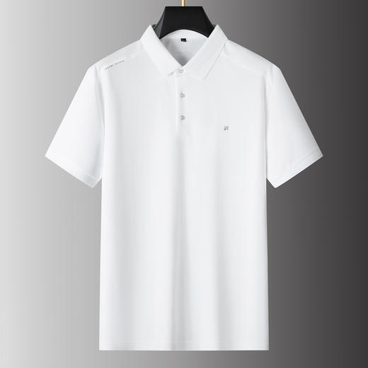 【DPS】【莱赛尔】大依优型大码男装夏季翻领polo衫短袖舒适休闲上衣半袖T恤 商品图4