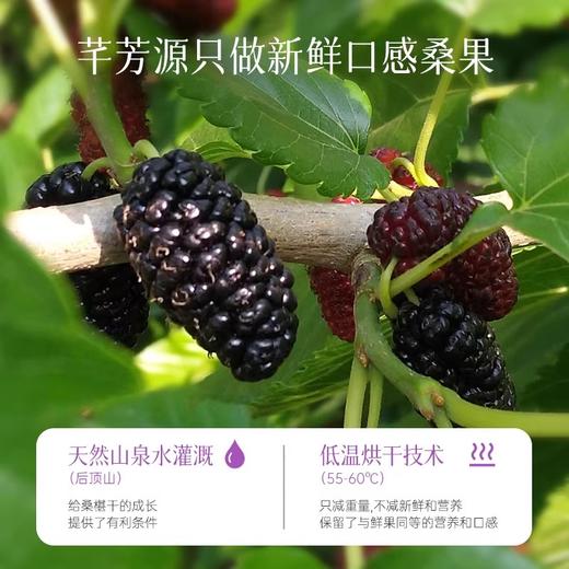 [芊芳源]桑葚干精选头茬饱满大果泡水食用口感清甜280g 商品图3