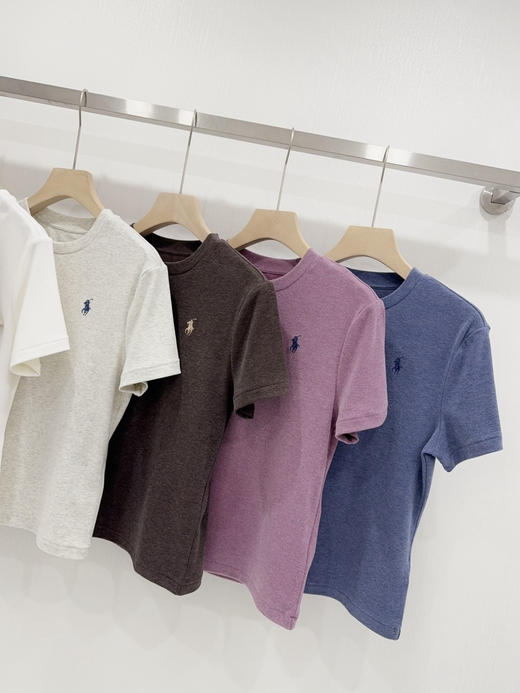 328-1 一周发‼️渠道货 细腻磨绒超弹力 小马圆领短袖T恤 别家298😂 自留L 超级好穿 商品图5