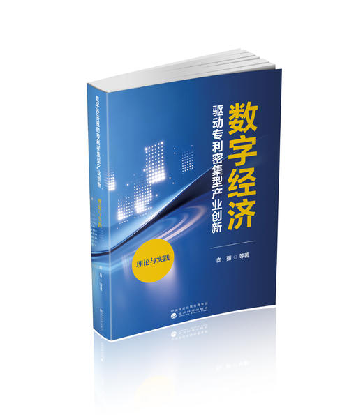 数字经济驱动专利密集型产业创新：理论与实践 商品图0