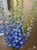 现货 蓝色大飞燕 一扎5支 支长60厘米 商品缩略图2